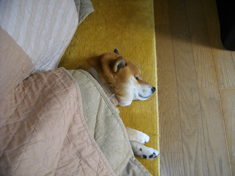2011.2.2.10001.jpg