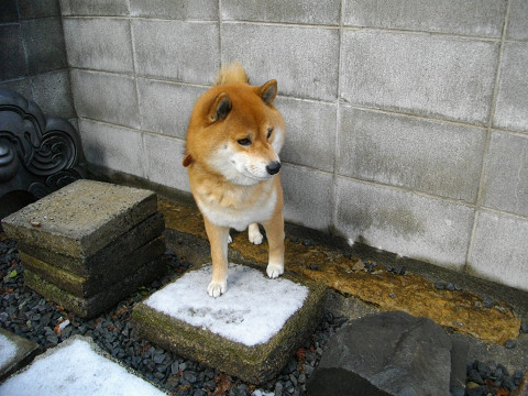 2011.2.20.10001.jpg