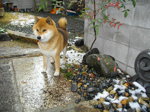 2011.2.20.20002.jpg
