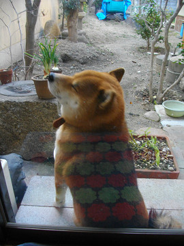 2011.2.22.10001.jpg