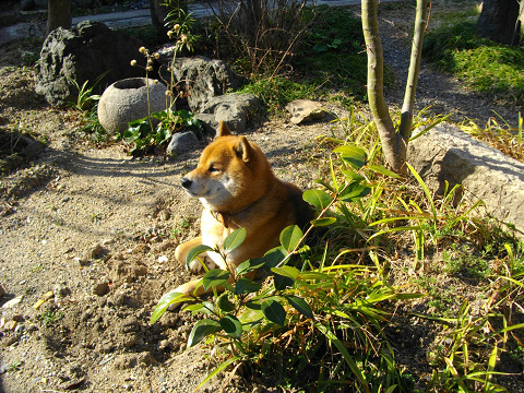 2011.2.28.10001.jpg