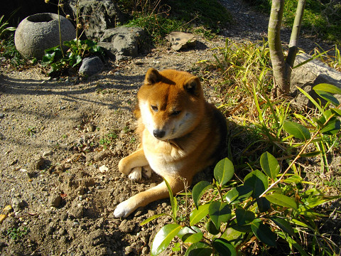 2011.2.28.20002.jpg