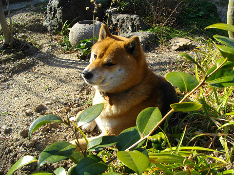 2011.2.28.30003.jpg