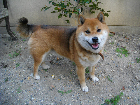 2011.3.20.30003.jpg