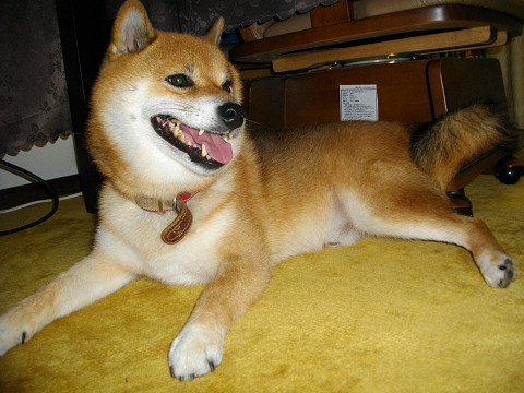 2011.9.1.20002.jpg