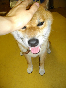 2011.9.1.30003.jpg