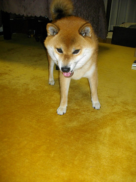 2011.9.11.10001.jpg