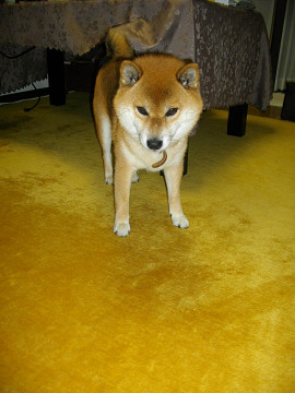 2011.9.11.20002.jpg