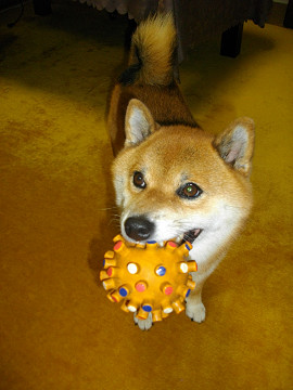 2011.9.11.40004.jpg