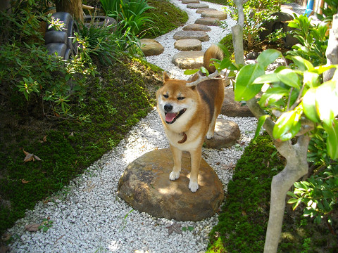 2011.9.20.20002.jpg