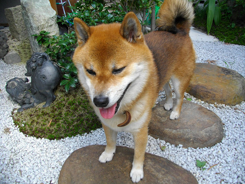 2011.9.20.30003.jpg