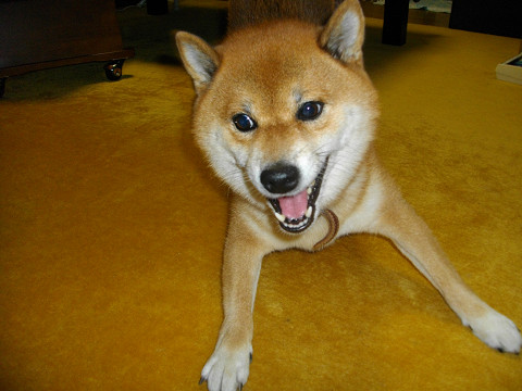2011.9.22.10001.jpg