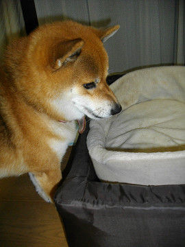 2011.9.22.20002.jpg