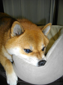 2011.9.22.30003.jpg