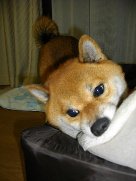 2011.9.22.40004.jpg