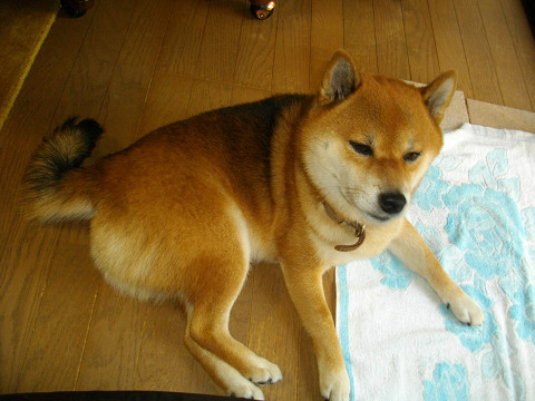 2011.9.29.10001.jpg