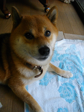 2011.9.29.40004.jpg