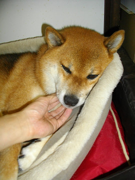 2011.9.7.20002.jpg