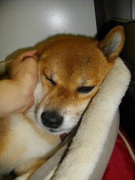 2011.9.7.30003.jpg