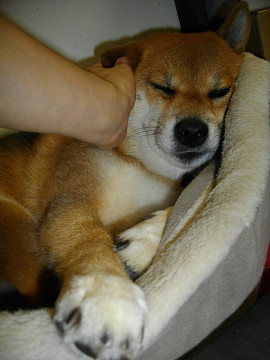 2011.9.7.40004.jpg