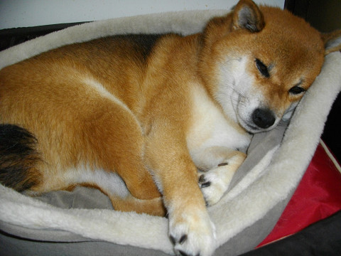2011.9.7.50005.jpg