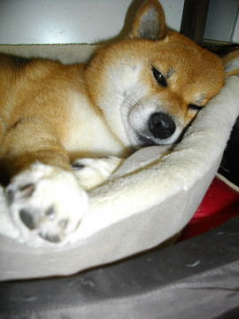 2011.9.7.60006.jpg