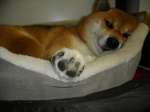 2011.9.7.70007.jpg