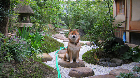 2011.9.9.10003.jpg