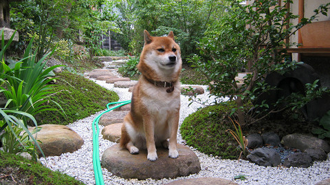 2011.9.9.20002.jpg