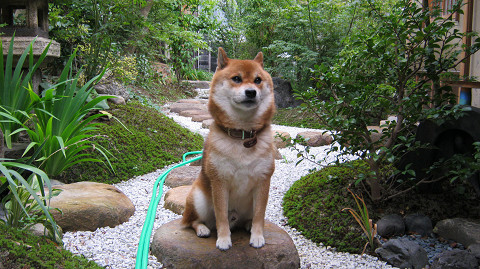 2011.9.9.30001.jpg