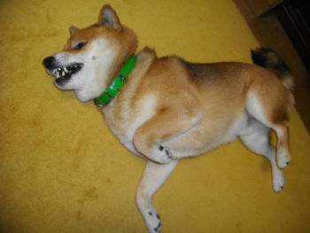 2012.1.24.jpg