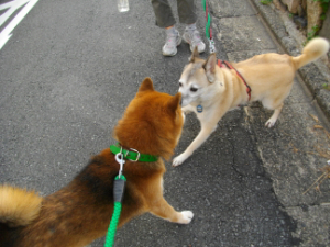 2012.10.14.02.jpg