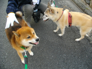 2012.10.14.03.jpg