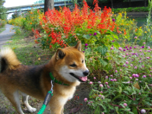 2012.10.25.01.jpg