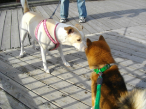 2012.10.25.02.jpg