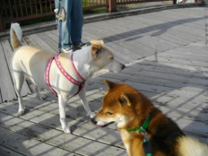 2012.10.25.03.jpg