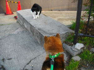 2012.11.27.01.jpg