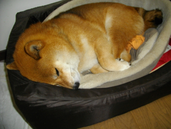 2012.6.19.01.jpg