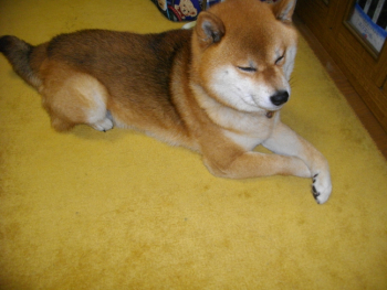 2012.6.21.03.jpg