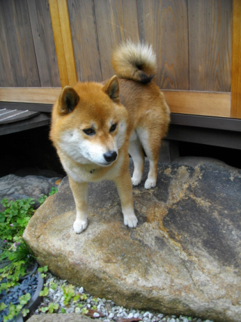 2012.6.25.01.jpg