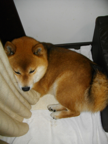 2012.6.5.01+1.jpg