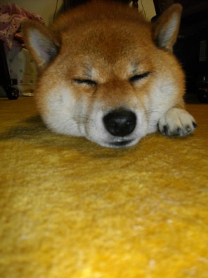 2012.8.22.01.jpg