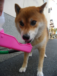 2012.9.28.01.jpg
