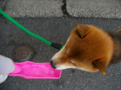 2012.9.28.02.jpg
