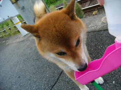 2012.9.28.03.jpg