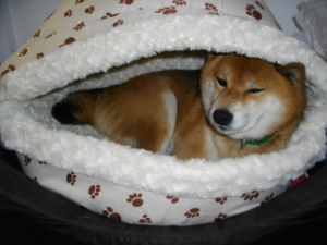 2013.1.23.01.jpg