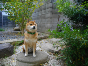 2013.12.17.02.jpg