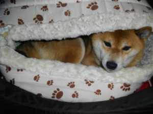 2013.12.4..01.jpg