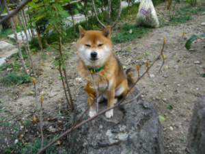 2013.12.7.02.jpg