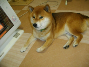 2013.2.14.01.jpg